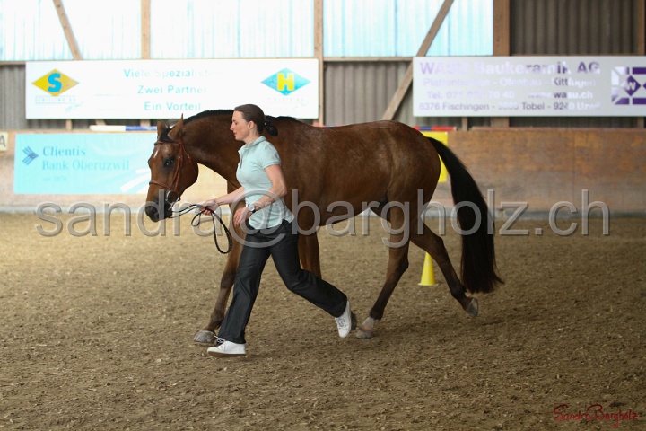 24-ApHC HIH_126.jpg